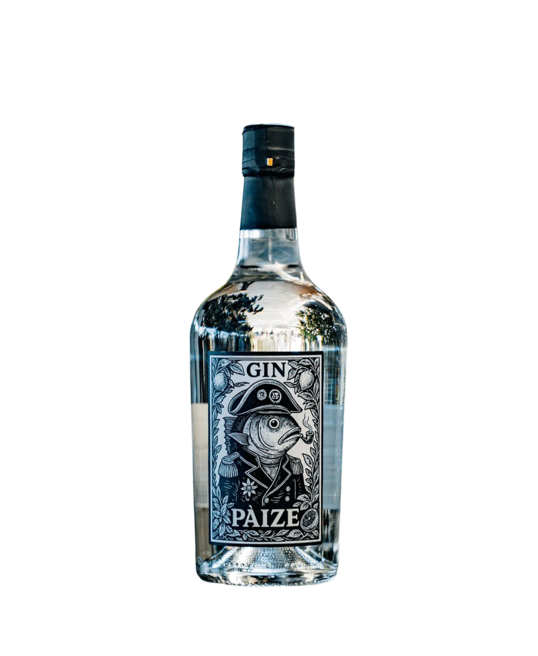 Gin Paize