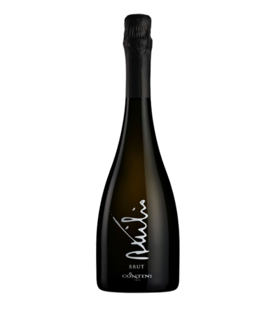 Attilio Brut Contini