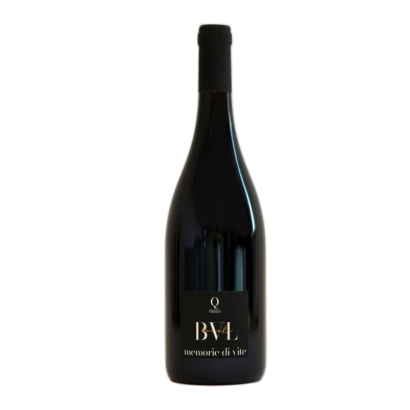 Bovale BVL Quartomoro